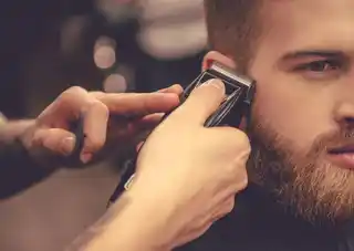 Corte de tosquiadeira